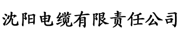 大香蕉在线亚洲电缆厂logo